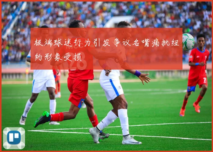 极端球迷行为引发争议名嘴痛批纽约形象受损